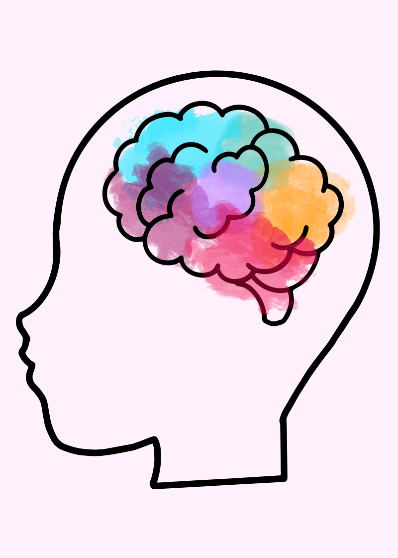 Illustration of the shape of a human head on a white background. Illustration includes a human brain that is visible within the illustration. The brain is shaded different colours to highlight neurodiversity. Colours are: blue, yellow, purple and red. 