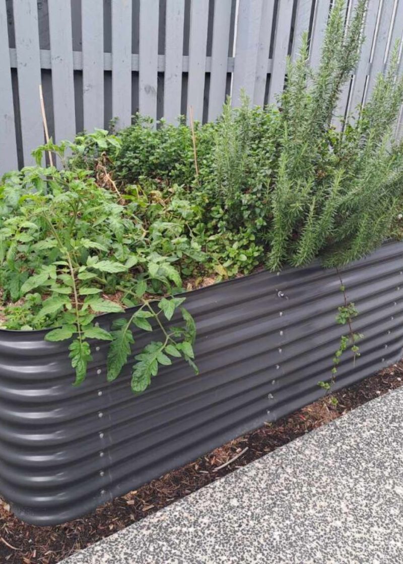 Image of a planter box with green plants growing in it